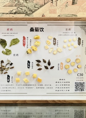 大号中医文创中药标本装饰画挂画展览医院文化墙标本相框包邮