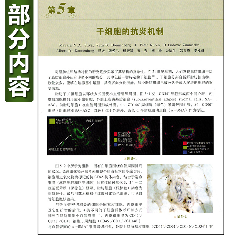 正版科尔曼脂肪注射从填充到再生主译李发成王阳美容整形外科面部填充医师参考书籍上海科技出版社9787547849651-图2