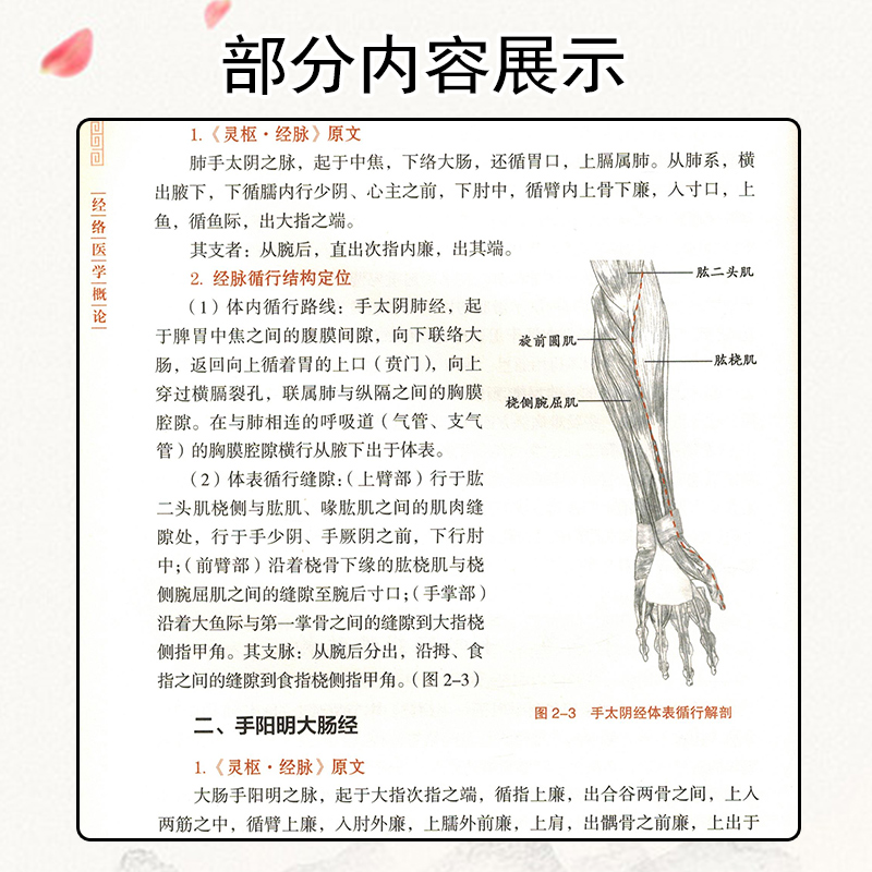 正版 经络医学概论 王居易著 中国中医药出版社 中医临床经络医学五行经络腧穴学穴位针灸基础入门自学书籍推拿按摩诊疗 - 图3