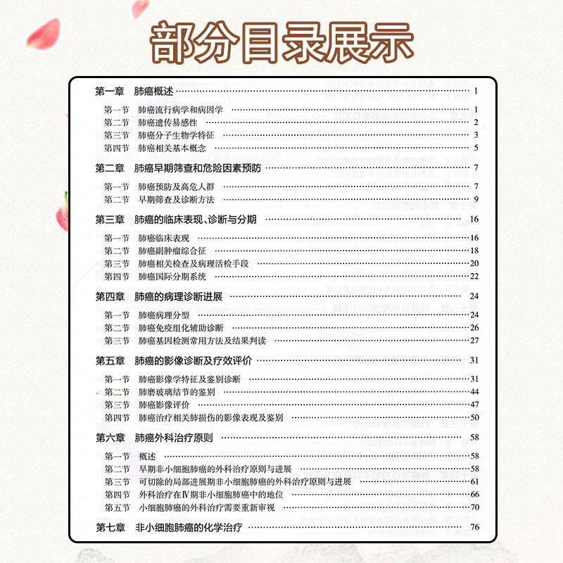 正版 临床肿瘤规范化诊疗实践与进展 肺癌分册 王洁 医院肿瘤肺癌专业诊断治疗外科手术放疗靶向治 人民卫生出版社9787117325509
