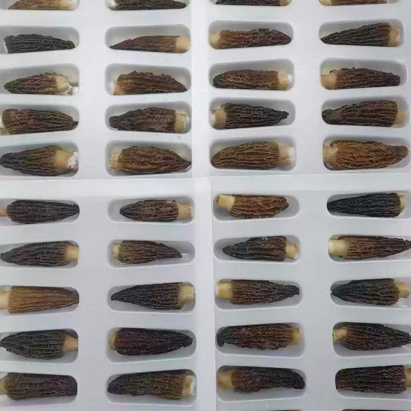 梦幻森林羊肚菌虾滑120克/盒 重庆豆捞羊肚菌虾滑火锅网红新品菜,淘宝优惠券,粉丝福利购,淘宝优惠卷