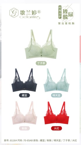 歌兰婷8116无钢圈AB杯小胸聚拢上托四排无痕内衣文胸玻尿酸婴儿棉 - 图1