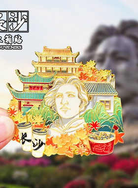 长沙金属冰箱贴磁吸城市地标风景文创旅游纪念品装饰品伴手礼送礼