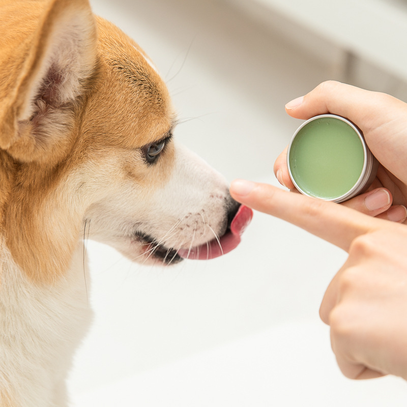 Amo Petric阿默金盏花泪腺清洁膏泪痕泪痕堵塞眼膏润脚膏猫狗通用 - 图1