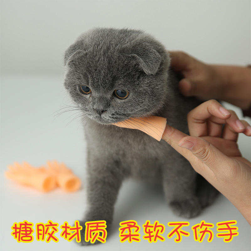 猫玩具逗猫棒抖音同款网红小手指套撸猫逗猫玩具手套搞怪解压手掌-图1