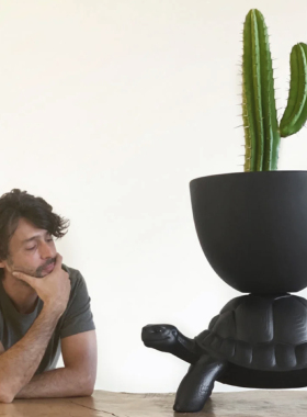 官方授权意大利Qeeboo乌龟卧室