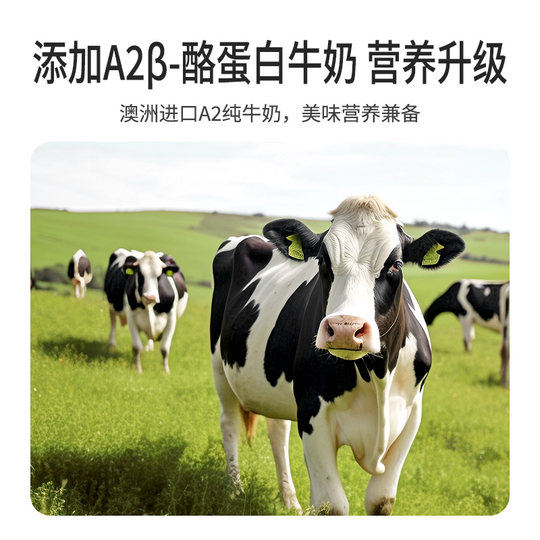 伊威磨牙棒婴儿6个月以上辅食宝宝加钙酪蛋白饼干