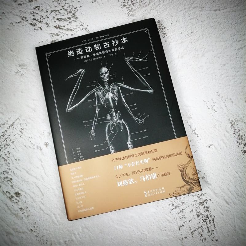 绝迹动物古抄本：斯宾塞•布莱克医生的解剖手记 The Resurrectionist 神秘生物 研究图鉴 解剖手记 科幻小说 魔幻绘本 刘慈欣推荐 - 图1