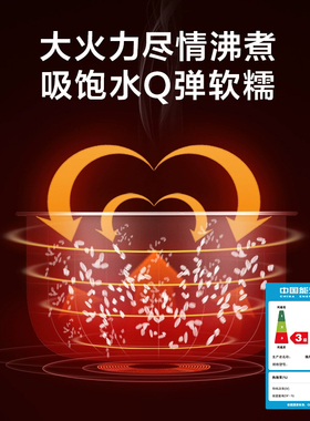 格力3L不锈钢无涂层电饭煲