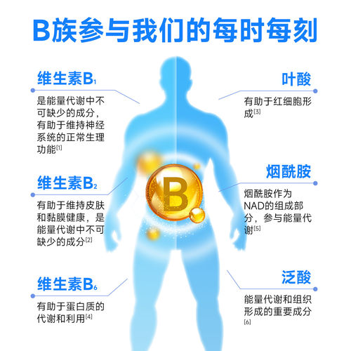 禾博士维生素B族叶酸多种vb男女性b1b2b6b12正品官方旗舰维生素VC - 图1