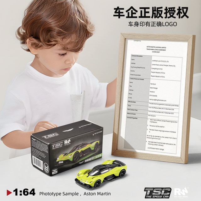 TSC164 Aston Martin alloy car mold