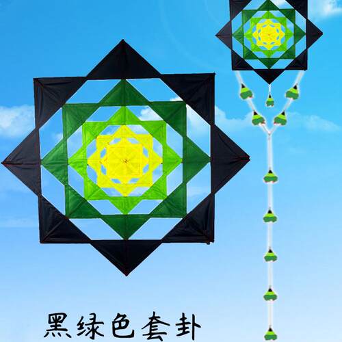 正品太极八卦风筝追风者大型成人伞布树脂杆抗大风飘尾线轮套餐 - 图1