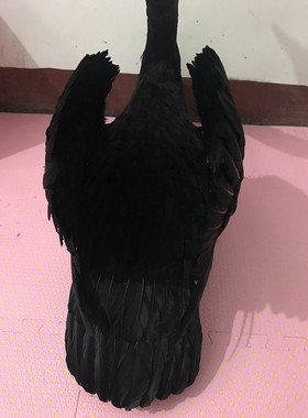 室内花艺黑色影视拍摄道具摆件