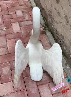 室内白天鹅摄影道具园林装饰品