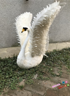 白天鹅婚礼影视拍摄道具橱窗摆件