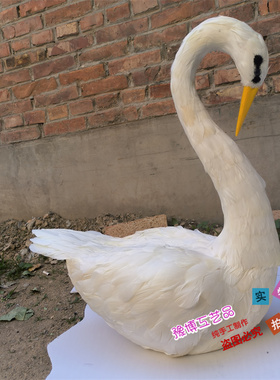 仿真羽毛天鹅闺蜜儿童写真拍摄道具客厅户外田园婚礼舞台装饰天鹅