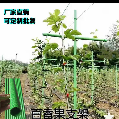 玻璃纤维管温室大棚骨架百香果立柱高强度包毡玻璃纤维杆支架 - 图0