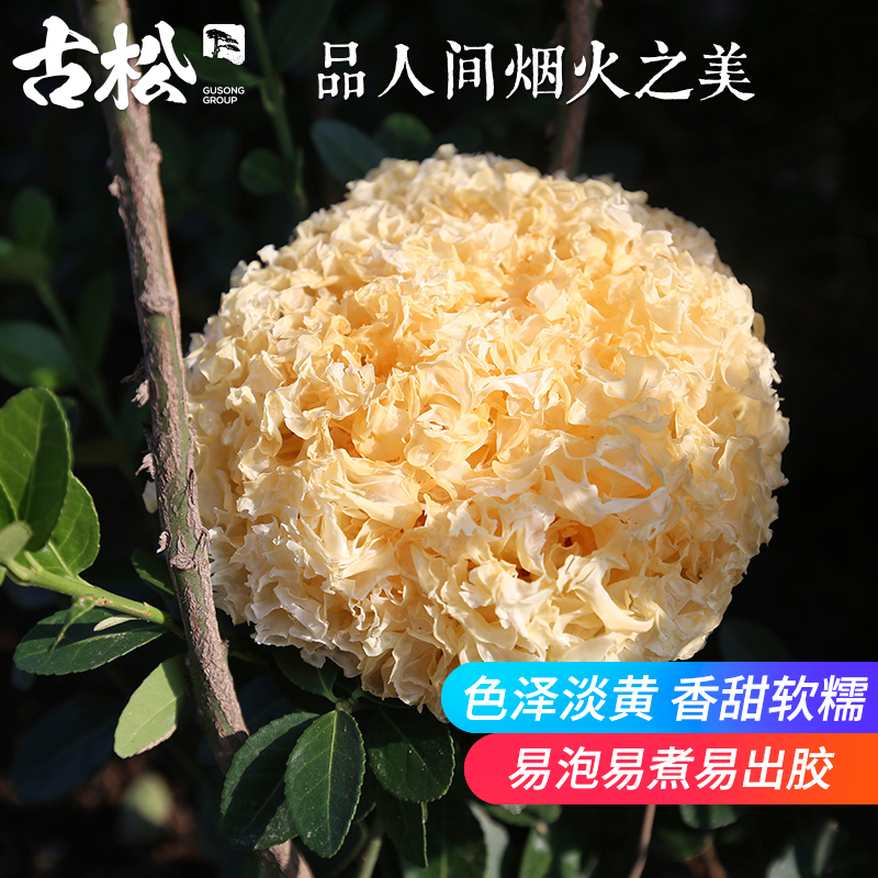 古松 福建古田银耳白木耳干货糯丑耳新鲜莲子羹材料鲜银耳250g - 图0