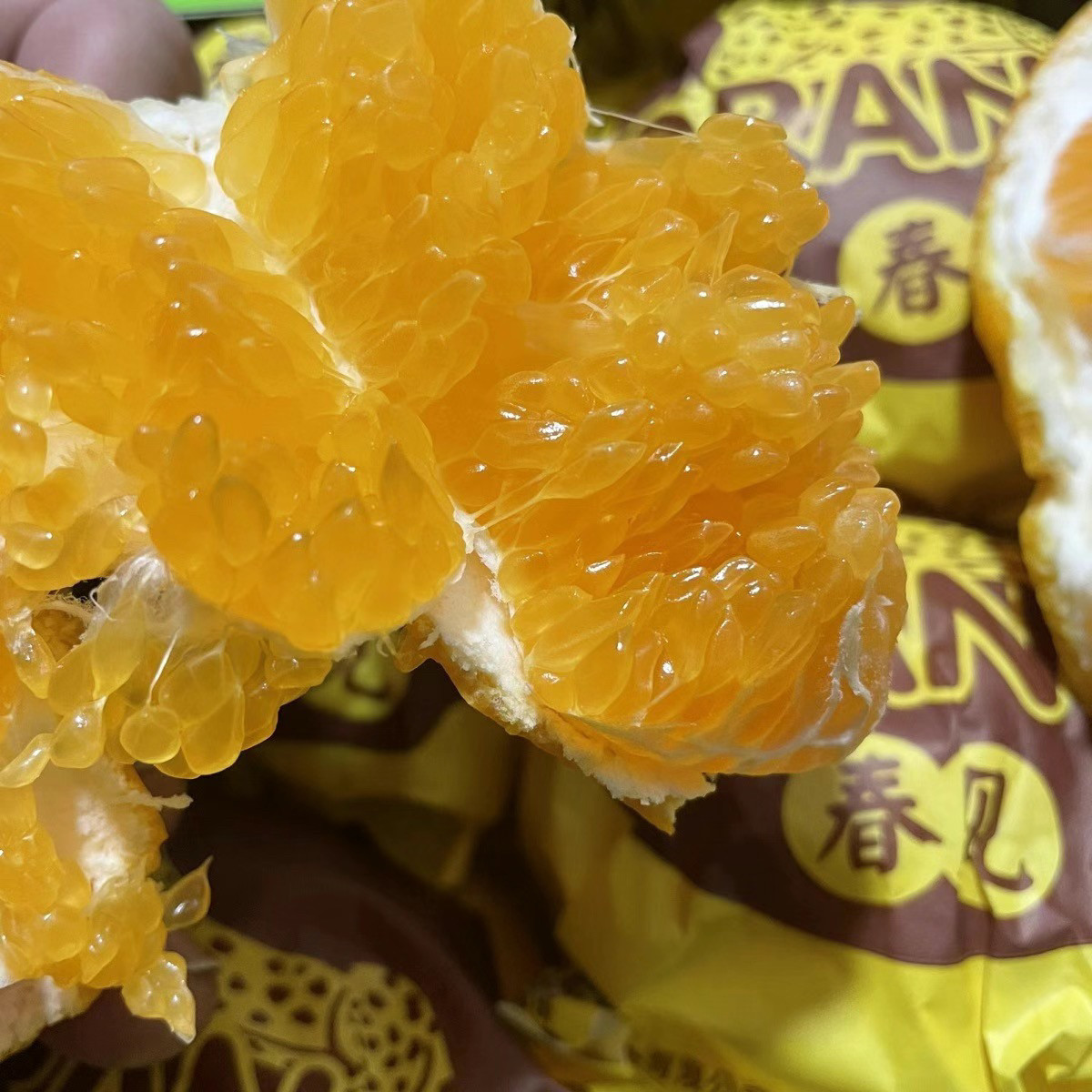 金钱豹春见粑粑柑礼盒5斤新鲜水果丑八怪橘子皮薄多汁豹子耙耙柑,淘宝优惠券,粉丝福利购,淘宝优惠卷