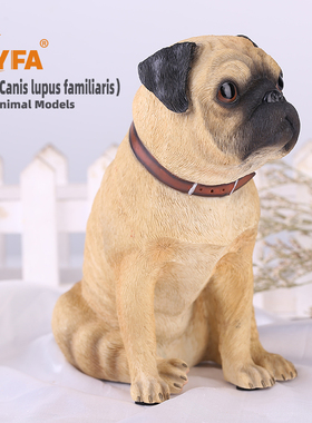 YFA模玩巴哥犬仿真模型家居摆件