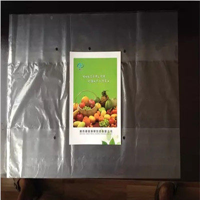 妃子笑荔枝专用款锦锐保鲜袋防雾杀菌气调袋30斤装推荐款，100个 - 图1