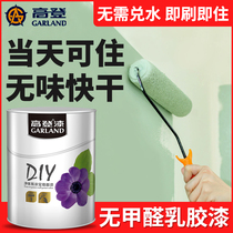 Interior walls Emulsion Paint Indoor wall Wall Restoration Wall Paint Self-Brushed Paint Refurbished Powder White eco-friendly and odorless