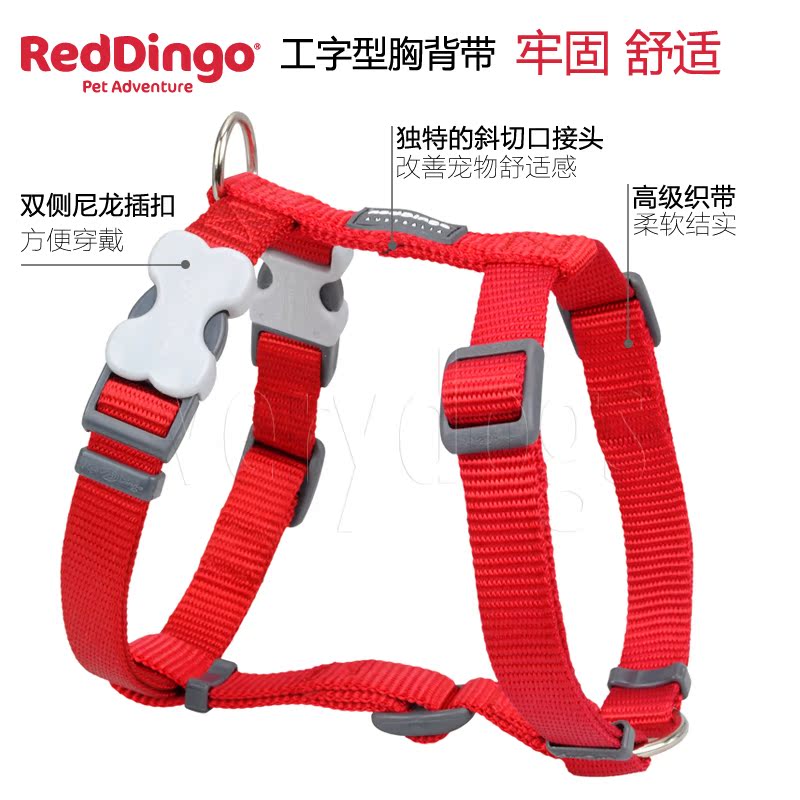 清仓买一送一瑞鼎狗RedDingo工字型胸背带马具型金毛狗牵引绳-图0