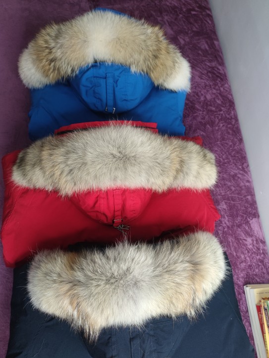 定做大鹅毛领单卖加拿大羽绒服真皮草领子男女郊狼夹克大毛领单买 - 图0