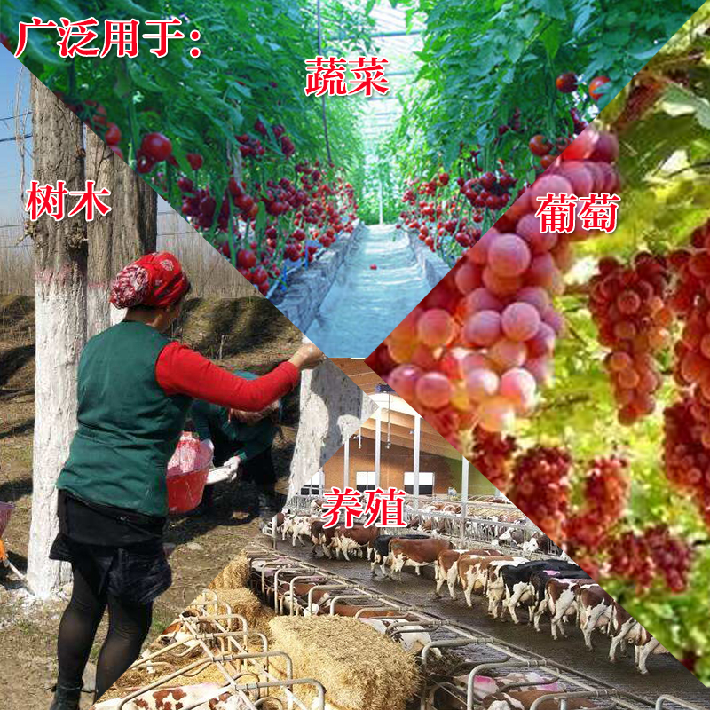 晶体硫酸铜 晶体98%高含量电镀级农用鱼塘除藻剂蓝矾水产25KG包邮 - 图1