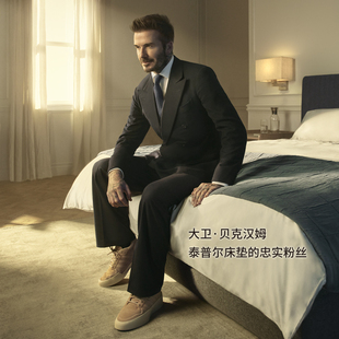 TEMPUR泰普尔进口记忆棉月牙托颈枕头