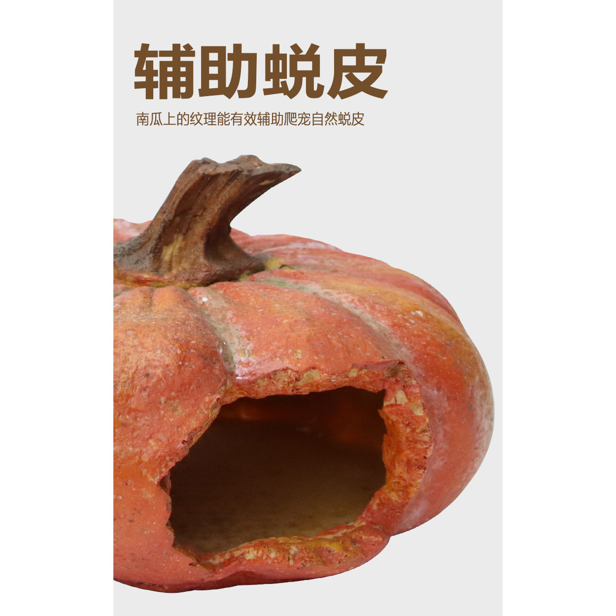 爬宠破口小南瓜躲避摆件守宫洞穴饲养箱造景蜘蛛蜥蜴山洞蛇窝晒台,淘宝优惠券,粉丝福利购,淘宝优惠卷