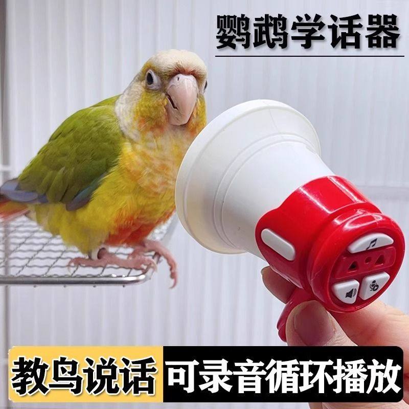 新款鹦鹉学说话器小型虎皮鹦鹉训练复读录音机玄凤吹口哨鸟玩具,淘宝优惠券,粉丝福利购,淘宝优惠卷