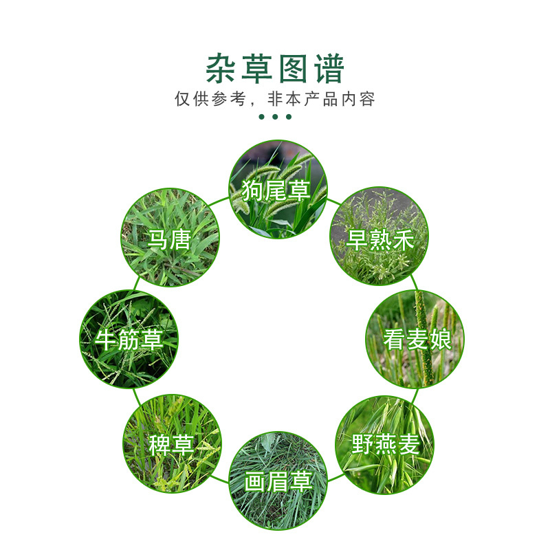 精禾草克10%精喹禾灵大豆田禾本科牛筋草芦苇茅草农药除草剂-图1