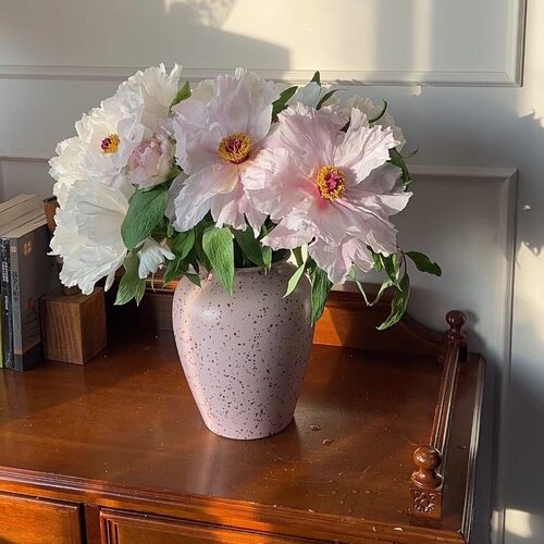 油画牡丹鲜花花束新鲜真花室内水培植物家用插花云南直发牡丹花 - 图1