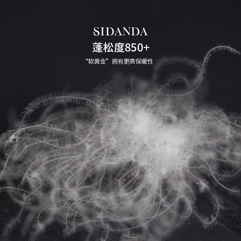 SIDANDA波兰95白鹅绒冬被专利保暖羽绒被子160支全棉加厚锁温被芯,淘宝优惠券,粉丝福利购,淘宝优惠卷