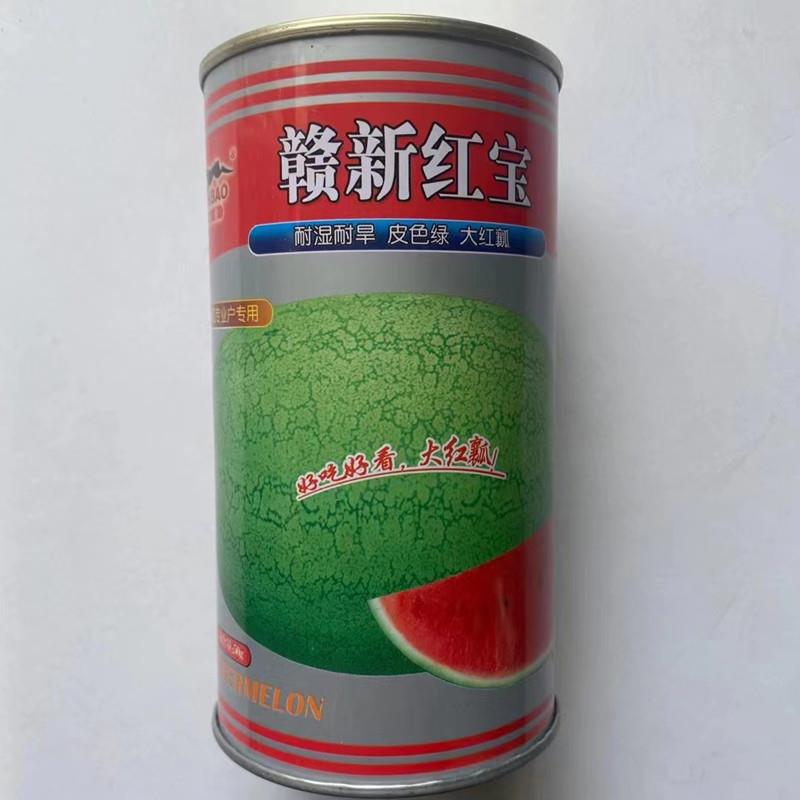 新红宝西瓜种籽特大早熟四季西瓜种籽南方西瓜种孑超大懒汉-图2