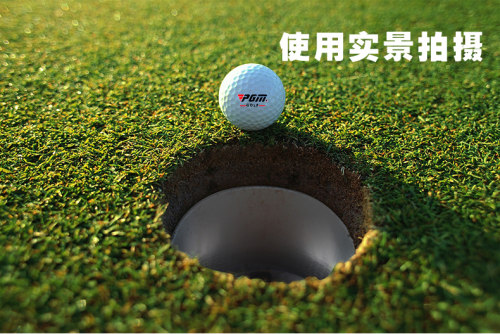 PGM高尔夫洞杯 304不锈钢 果岭洞杯专业golf球场工程果岭球洞杯器 - 图2