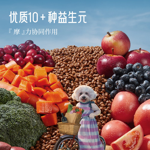 美国进口Fromm福摩狗粮鸭肉甜薯幼犬小型犬老犬全价粮大型犬泰迪 - 图2