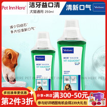 PET INN France Virbac Vikou clear dog cat with deodorant cleaning teeth mouthwash 250ml