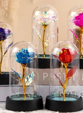 Valentines Day Gift for Girlfriend Eternal Rose LED Light F