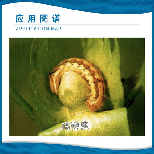 曹达跳甲清44%氯氰·丙溴磷棉花棉铃虫喷雾乳油杀虫剂农药20ml1L - 图2