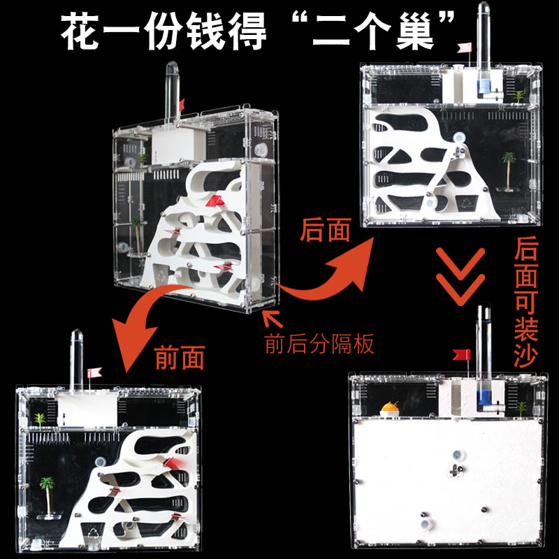 双面蚂蚁城堡 超大型别墅蚁巢室 生态宠物工坊家园王国对战送蚁后 - 图2