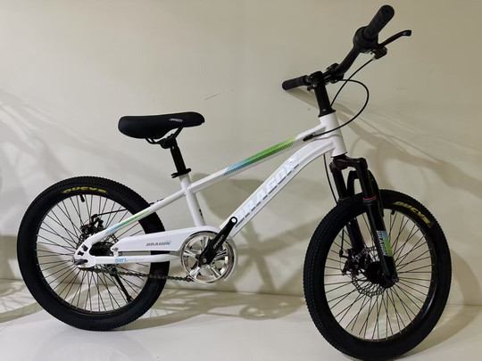T Beijiaqi Baby Dragon Children's Bike Mountain Bike 18/20/22 inch Front and Rear Double Disc Brake Boy and Girls Bicycle