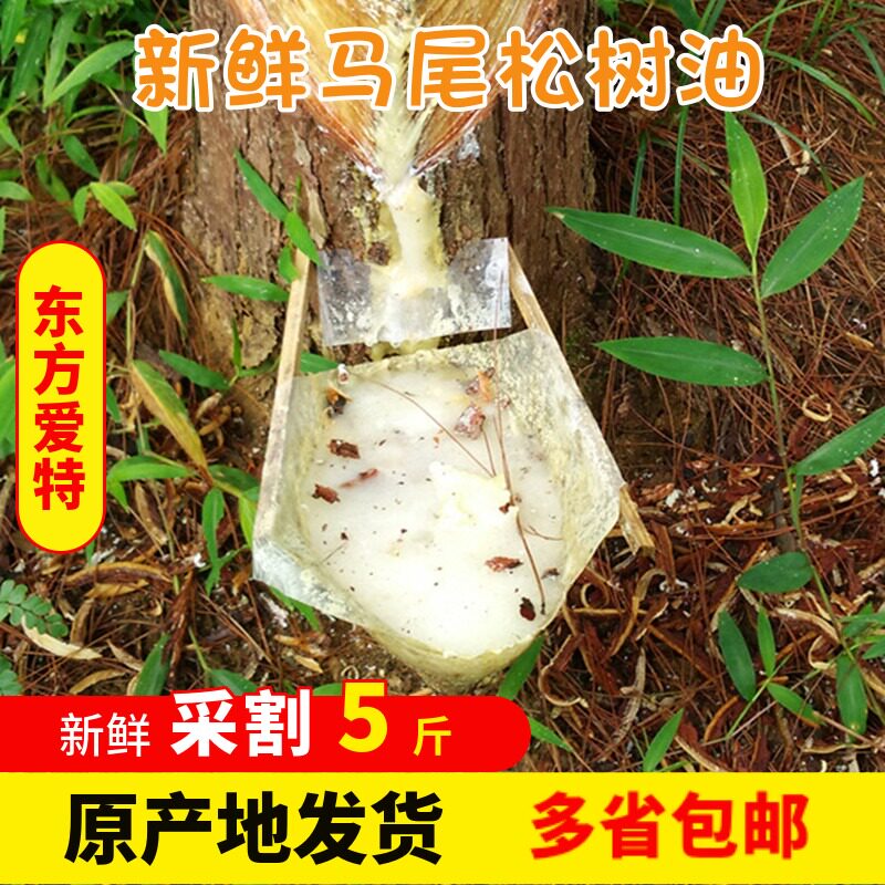 松脂油 新人首单立减十元 22年1月 淘宝海外