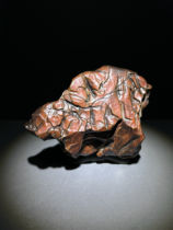 Brown Bear Natural Mongolia Old Leather Tooth Stone Gobi Gobi Alla Hospice Stone Shaped Stone Shaped Stone Pendulum to admire the collection