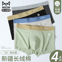 Cat mens underwear boys pure cotton antibacterial stall four corner pants teenagers breathable big code flat corner shorts head men s