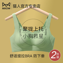 Cat person No scratches lingerie womens small breasts gathered without steel ring to receive the back soft support Drooping Bra Hood