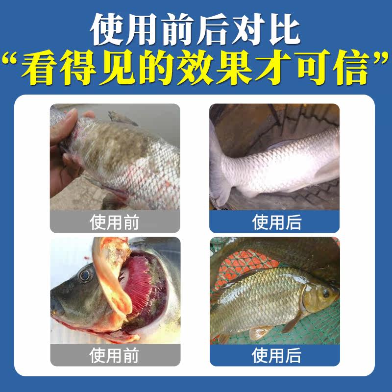 水霉病专治鱼药鱼龟烂身烂尾白毛腐皮硫醚沙星水产养殖水霉专治药,淘宝优惠券,粉丝福利购,淘宝优惠卷