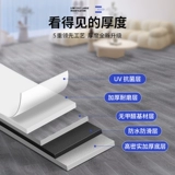 Цементный пол непосредственно укладки напольных покрытий и домашняя адгезия, устойчивость к износу, пластиковая лига проката домов