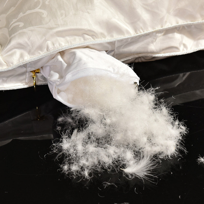 五星级酒店京希尔顿95白鹅绒冬被芯春秋羽绒被子家用真丝加厚保暖,淘宝优惠券,粉丝福利购,淘宝优惠卷